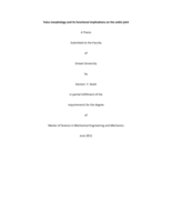 Talus morphology and its functional implications on the ankle joint