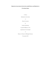 Sequence analysis of the novel ORFG gene and protein in cyanobacteria
