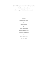 Effects of therapeutic interventions on the organization of the rat sensorimotor cortex