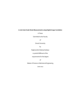 In-situ grain scale strain measurements using digital image correlation