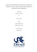 Reconstruction of the Musculotendinous System of the Necks of Sauropods and the Dodo Based on Anatomical Comparison with Modern Birds and Implications for Biomechanical Function and Ecological Roles