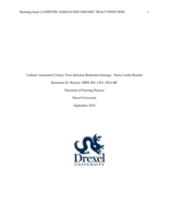 Catheter associated urinary tract infection reduction strategy: nurse leader rounds