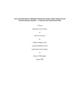 Stress and deformation of biological membranes during cellular outgrowth and cell and liposome injection: a numerical and experimental study