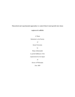 Theoretical and experimental approaches to control blood vessel growth into tissue engineered scaffolds