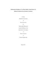 Mathematical modeling of a two-phase bubble-column reactor for biodiesel production from alternative feedstocks
