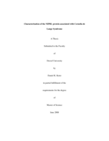 Characterization of the NIPBL protein associated with Cornelia de Lange syndrome