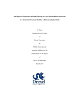 Self-reported experiences in family therapy of lower-income Black adolescents in a residential treatment facility: a phenomenological study
