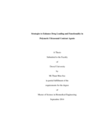 Strategies to Enhance Drug Loading and Functionality in Polymeric Ultrasound Contrast Agents