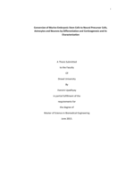 Conversion of murine embryonic stem cells to neural precursor cells, astrocytes and neurons by differentiation and corticogenesis and its characterization