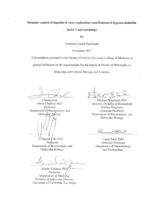 Dynamic control of hepatitis B virus replication: contributions of hypoxia-inducible factor 1 and autophagy