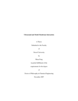 Ultrasound and model membrane interaction