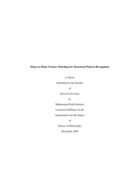 Many-to-many feature matching for structural pattern recognition