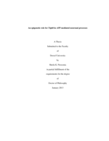 An epigenetic role for tip60 in APP mediated neuronal processes