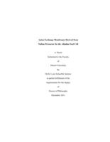 Anion exchange membranes derived from nafion precursor for the alkaline fuel cell