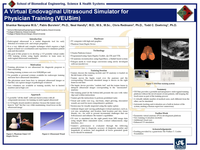 A Virtual endovaginal ultrasound simulator for physician training (VEUSim)
