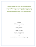 Epidermal growth factor (EGF) and transforming growth factor (TGF[beta]1) promote EMT in primary prostate cancer cells via Ras signaling. Inhibitory effects of EGCG on EMT induced matrix metalloproteinase (MMP) activity in prostate cancer cells