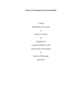 Essays on financial and economic risks