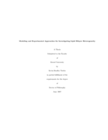 Modeling and experimental approaches for investigating lipid bilayer heterogeneity