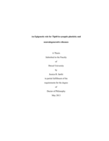 An epigenetic role for Tip60 in synaptic plasticity and neurodegenerative diseases