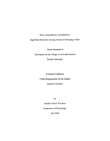 Roles, expectations, and influence: high-risk behaviors among groups of emerging adults
