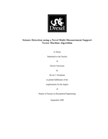 Seizure detection using a novel multi-measurement support vector machine algorithm