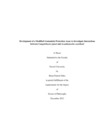 Development of a modified gentamicin protection assay to investigate interactions between Campylobacter jejuni and Acanthamoeba castellanii