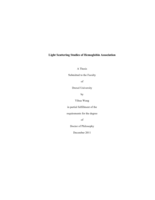 Light scattering studies of hemoglobin association