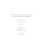 A study of optical propagation in polymer liquid crystal nanocomposites for photolithography applications