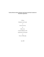 Uniform dielectric barrier discharge with nanosecond pulse excitation for biomedical applications