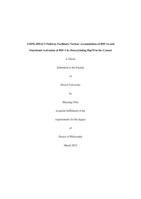 AMPK-HDAC5 Pathway Facilitates Nuclear Accumulation of HIF-1[alpha] and Functional Activation of HIF-1 by Deacetylating Hsp70 in the Cytosol