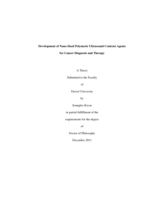Development of nano-sized polymeric ultrasound contrast agents for cancer diagnosis and therapy