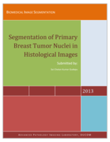Segmentation of primary breast tumor nuclei in histological images