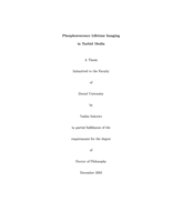 Phosphorescence lifetime imaging in turbid media