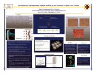 Development of an implantable alginate scaffold for the treatment of spinal cord trauma