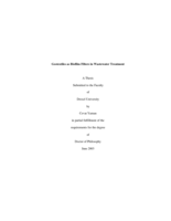 Geotextiles as biofilm filters in wastewater treatment
