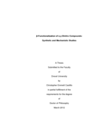 Beta-functionalization of alpha, gamma-dinitro compounds: synthetic and mechanistic studies