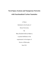 Novel epoxy systems and nanoporous networks with functionalized carbon nanotubes