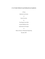 A user friendly multiscale lung modeling suite and application