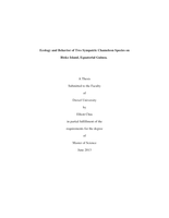 Ecology and Behavior of Two Sympatric Chameleon Species on Bioko Island, Equatorial Guinea