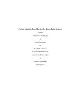Carbon nanotube based devices for intracellular analysis