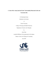 A grain of rice among sand and earth: understanding ethnoracial labels and unconscious bias