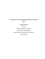 Novel regulation of the ATF4 and HIF-1[alpha] transcription factors in response to hypoxia