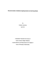 Structural studies of antibiotics targeting bacterial cell-wall biosynthesis