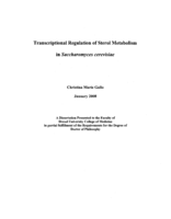Transcriptional regulation of sterol metabolism in Saccharomyces cerevisiae
