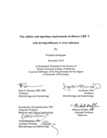 The cellular and signaling requirements of effector CD8⁺T cells during influenza A virus infection