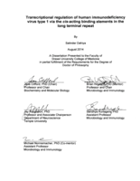 Transcriptional regulation of human immunodeficiency virus type 1 via the cis-acting binding elements in the long terminal repeat
