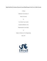 Rapid small-scale evaluation of expected annual flood damages under sea level rise scenarios