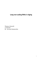 Long non-coding RNAs in aging