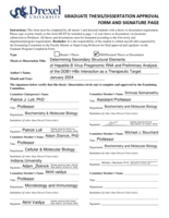 Determining Secondary Structural Elements of Hepatitis B Virus Pregenomic RNA and Preliminary Analysis of the DDB1-HBx Interaction as a Therapeutic Target