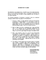 Subjective risk within the group decision making process